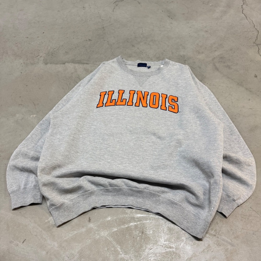 Vintage‎ 90s Gray Illinois College Crewneck